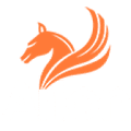 ArionERP